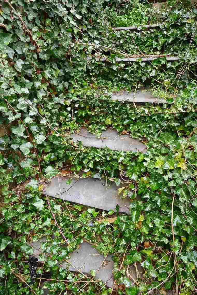 escalier de jardin idée extérieur escalier pierre