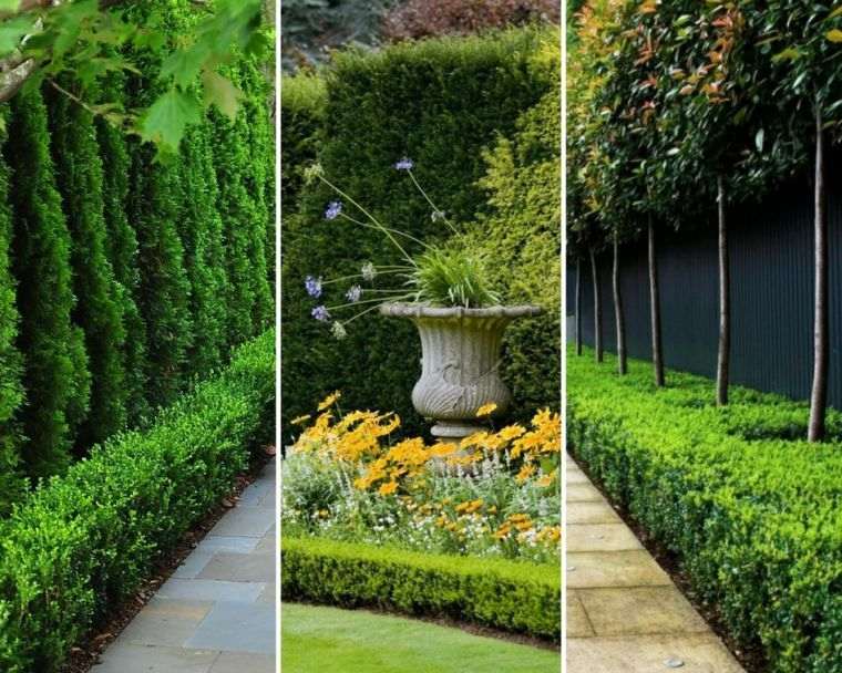 faire une haie de clôture de-jardin-conseils-astuces-choix-arbustes-arbres-plantes-deco