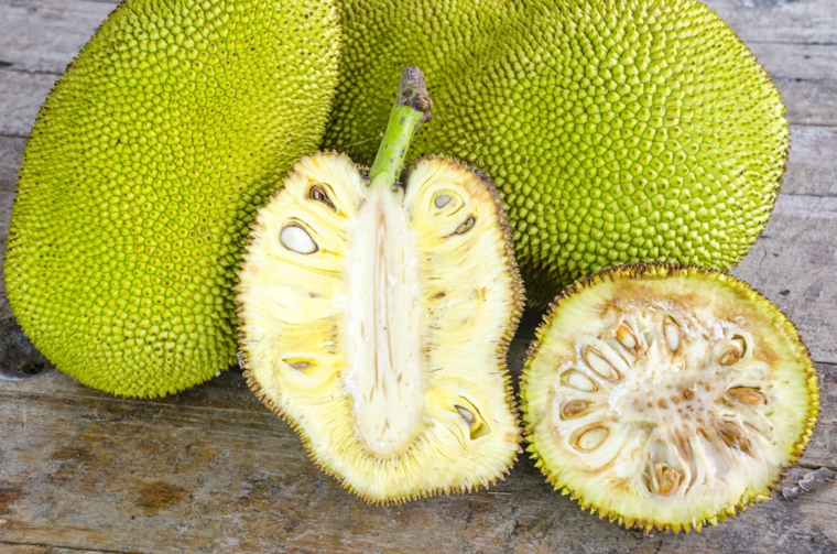 jackfruit frui-jacquier-peu-connu-France