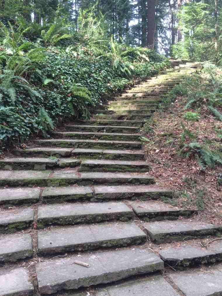 jardin-pierre-escalier-idees