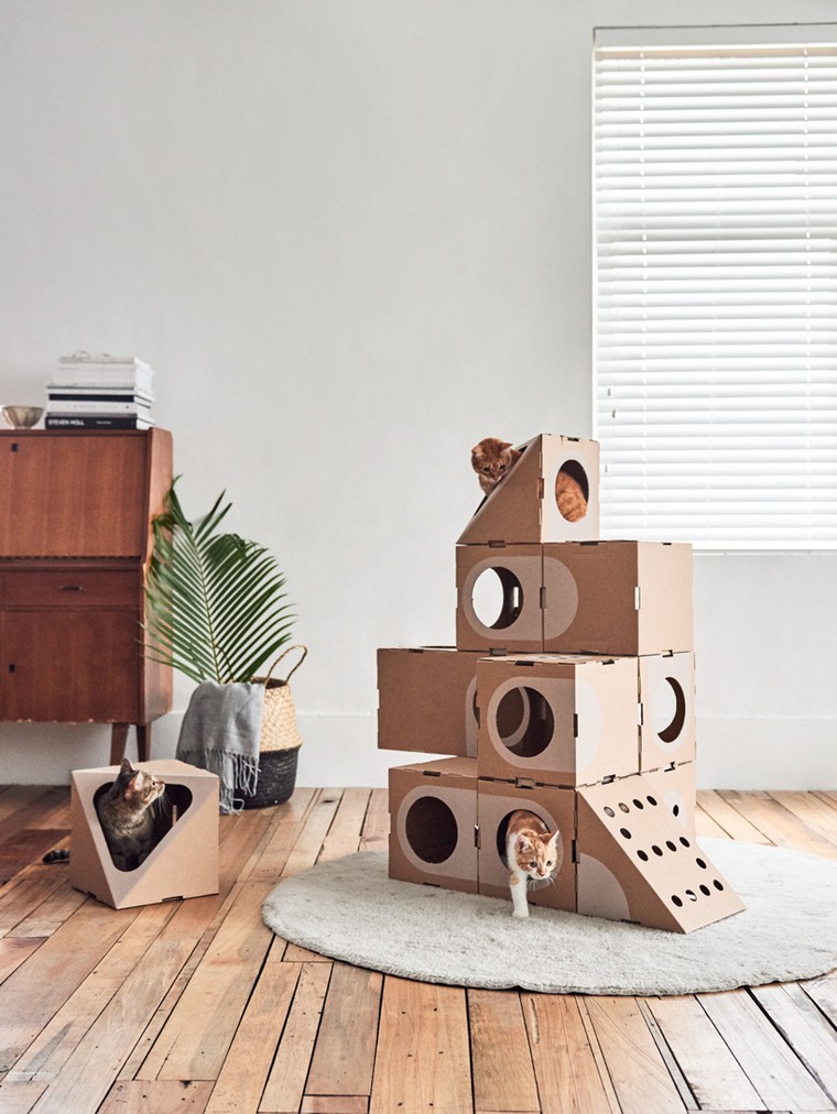 jeu pour chat en carton idées maison chat