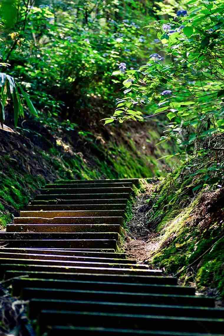 japon-escalier-exterieur-design-magnifique