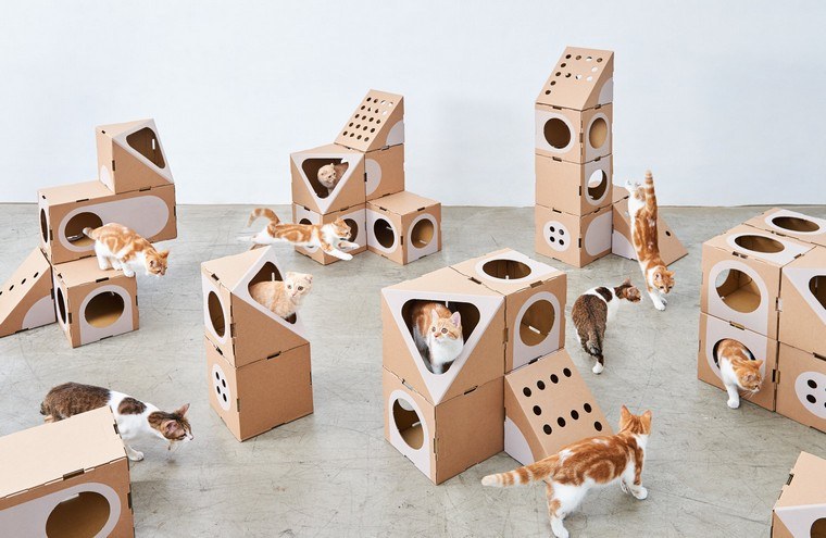 jeu-pour-chat-en-carton-cat-thing