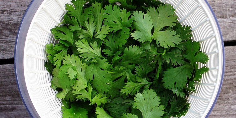persil-recette-tofu-vegan