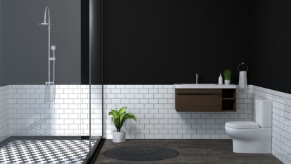 idee-interieur-moderne-salle-de-bain-douche