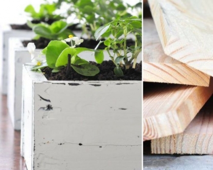 amenagement-jardin-pas-cher-exterieur-design-prix