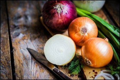 comment-cultiver-des-oignons-potager-jardin-idees
