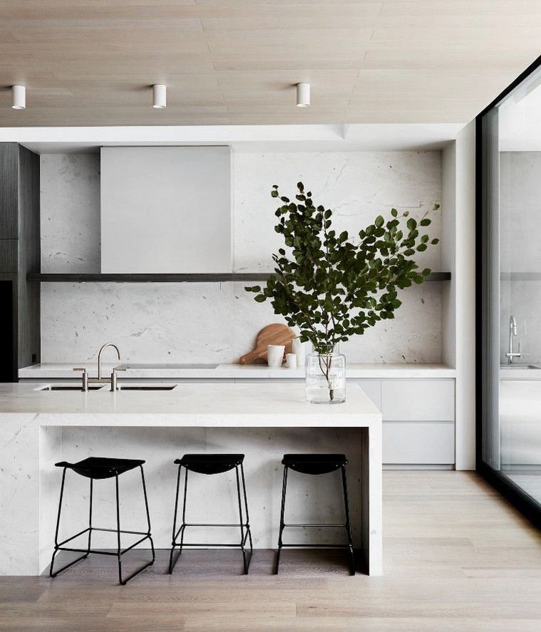 interieur-cuisine-minimaliste-modele
