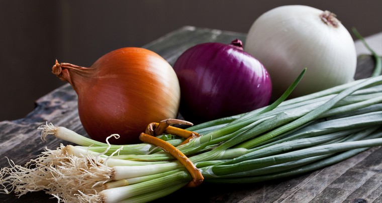oignon-idee-comment-cultiver-des-oignons-potager-