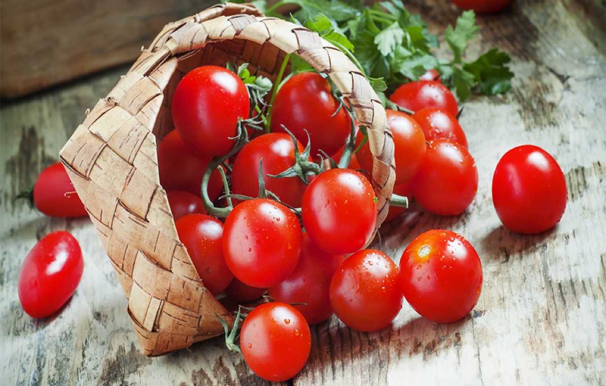 tomates-rouges-du-jardin