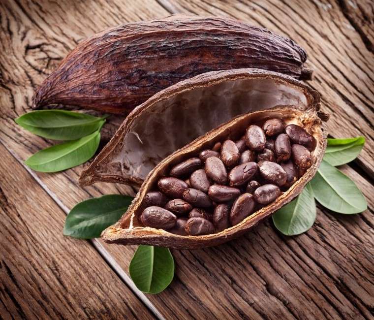 cacao recette dentifrice maison noix de coco