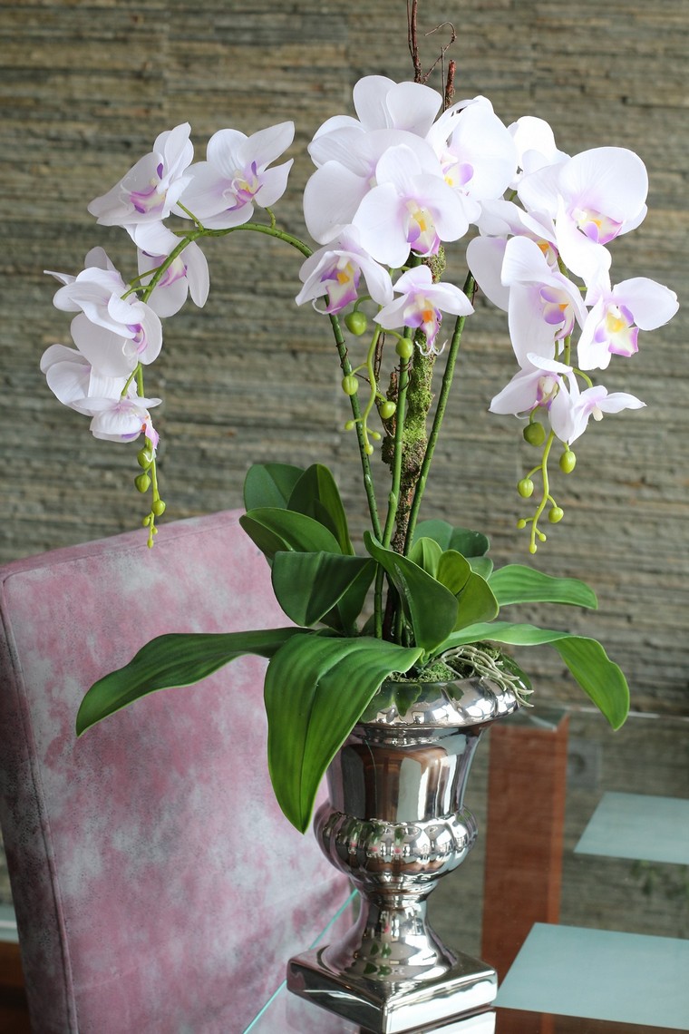 vase-fleur-interieur-orchidee