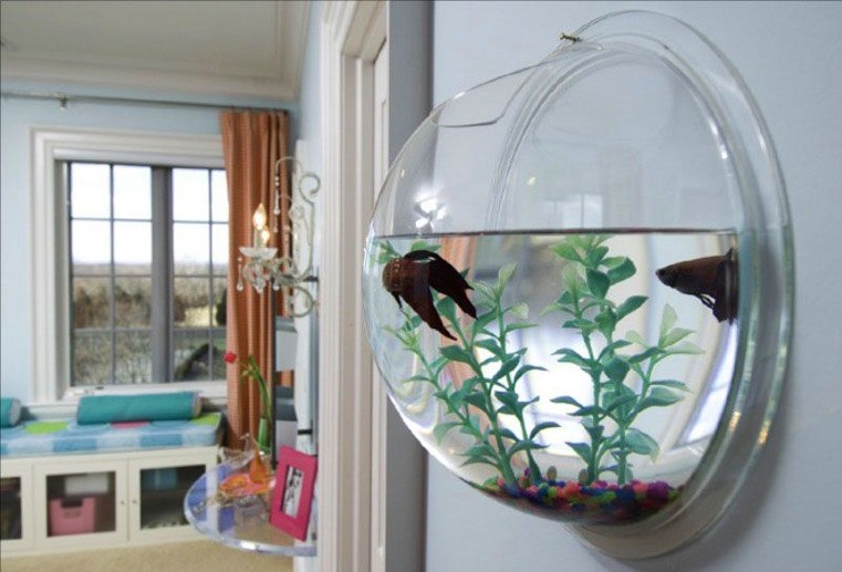 chambre-fille-avec-aquarium-sur-mur