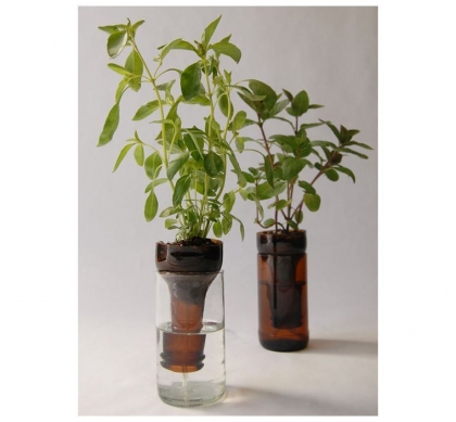 jardin sans arrosage pot-de-fleur-diy