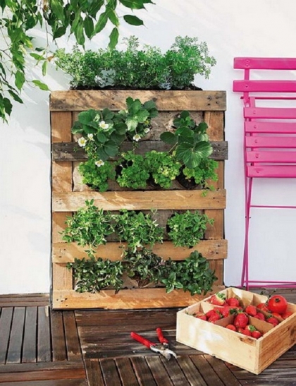 palette-jardin-vertical-potager