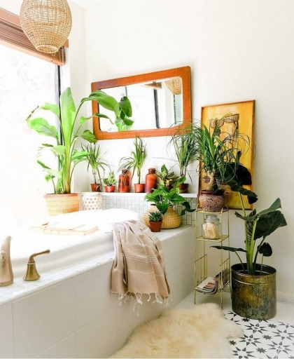 plante-deco-boho