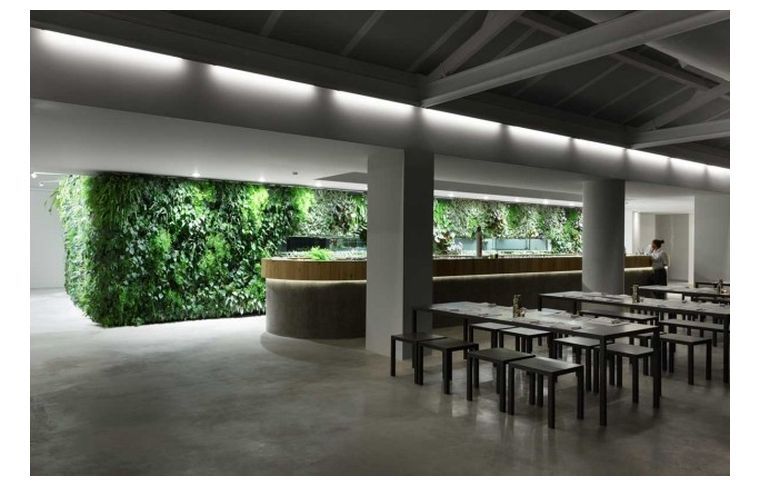 mur-vegetal-d'interieur-moderne-design-idee-vertical-garden-design