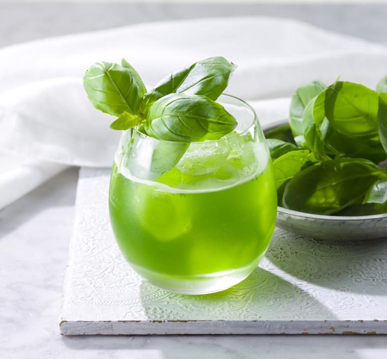 cocktail-frais-plante-verte