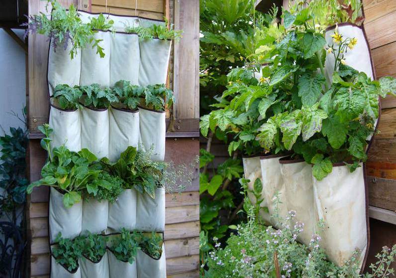 jardin-vertical-pochettes-idee-plantes