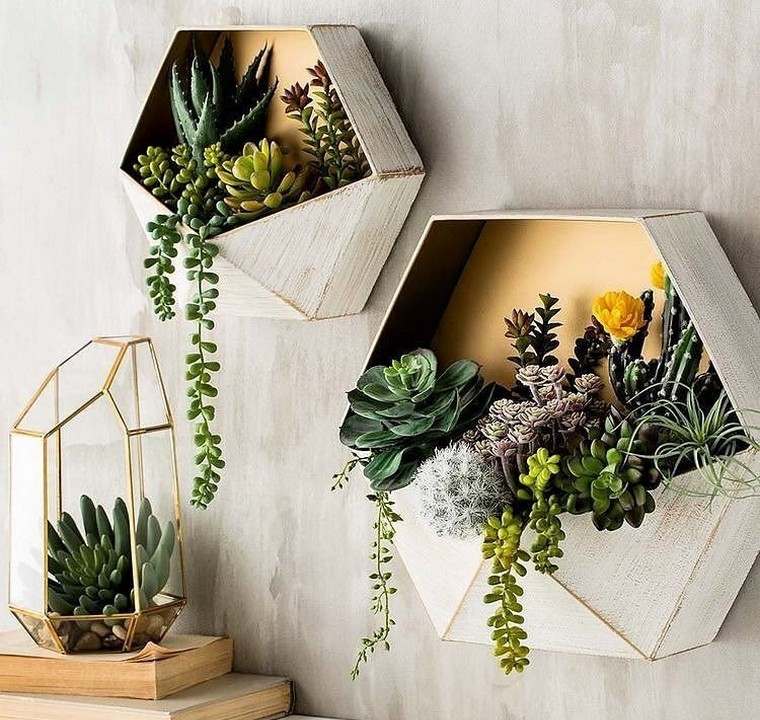 plante-interieur-idee-succulent