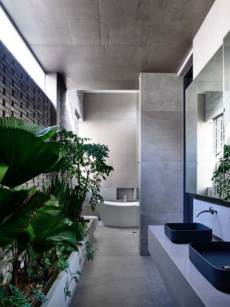 bâtiment contemporain salle de bain design plantes jardinière