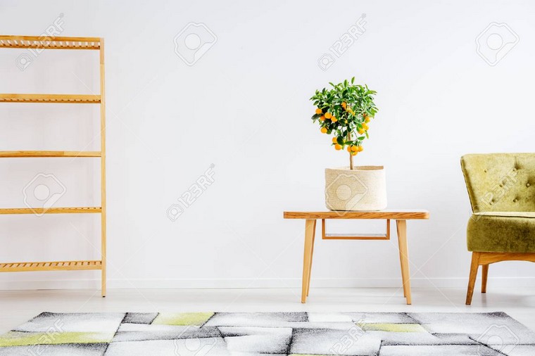 couleur-scandinave-interieur-blanc