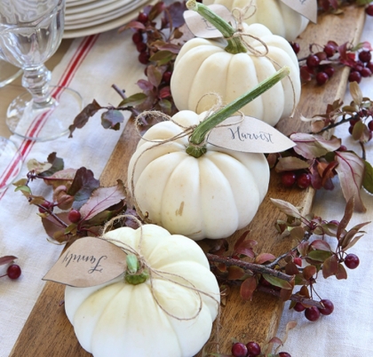 Deco-table-dautomne-Citrouille-blanche-aux baies