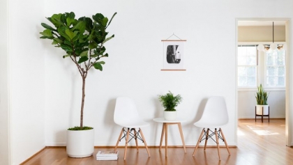 deco-verte-interieur-plantes-exotiques-depolluantes-maison-scandinave