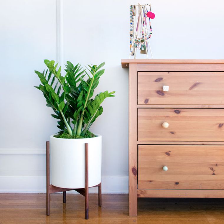 idee-deco-naturelle-plante-en-pot-collection-retro-moderne-ceramique-support-bois