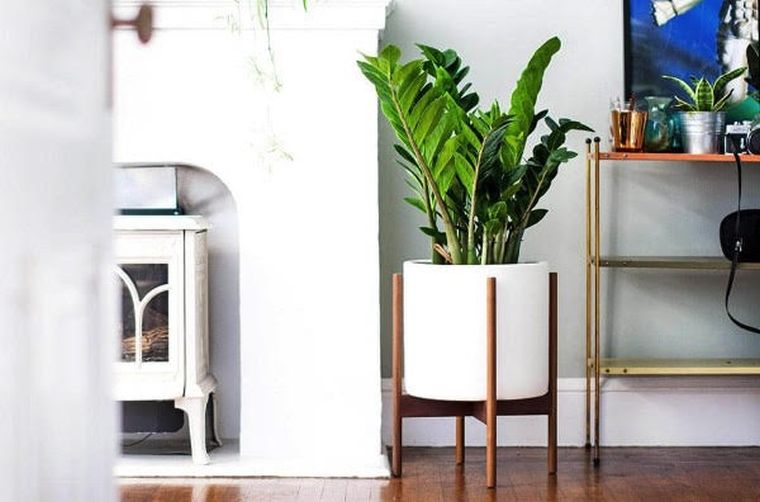 plantes d'intérieur en-pot-design-deco-ambiance-naturelle