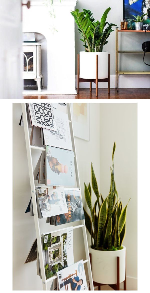 plantes d'intérieur pot-design-ceramique-support-bois-massif-tendance-deco