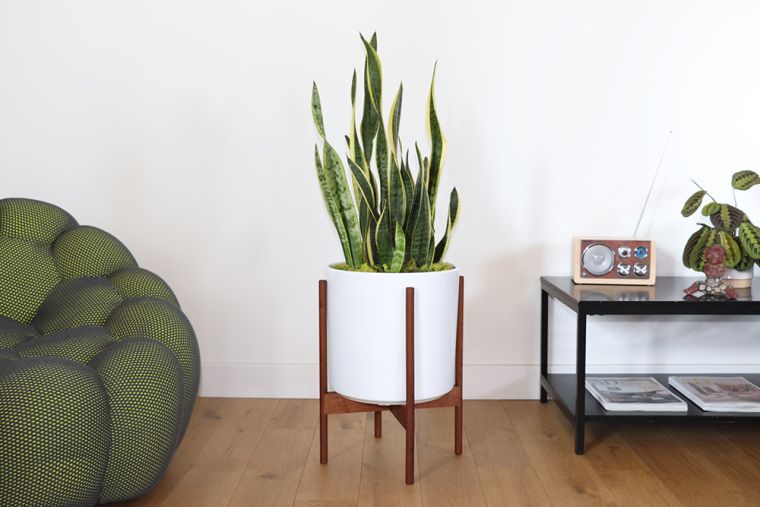 plantes d'intérieur pot-moderne-support-bois-deco-design
