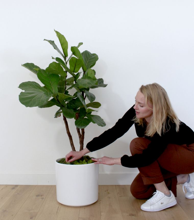 plantes d'intérieur tendance-pot-de-fleur-moderne-decor-nature