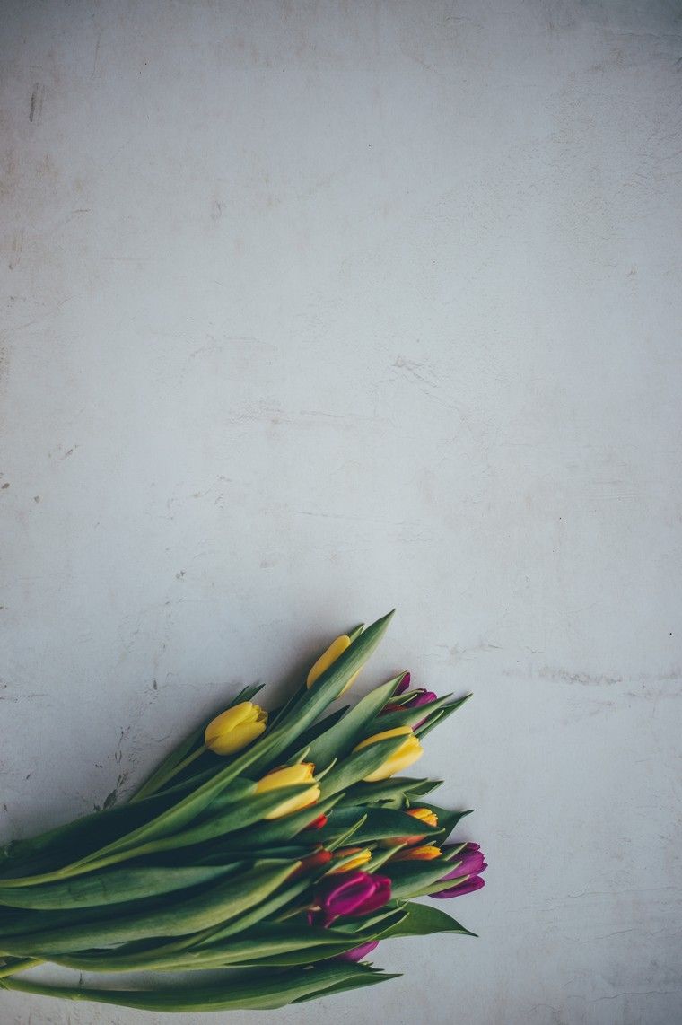 tulipes photo annie spratt déco printemps fleurs intérieur