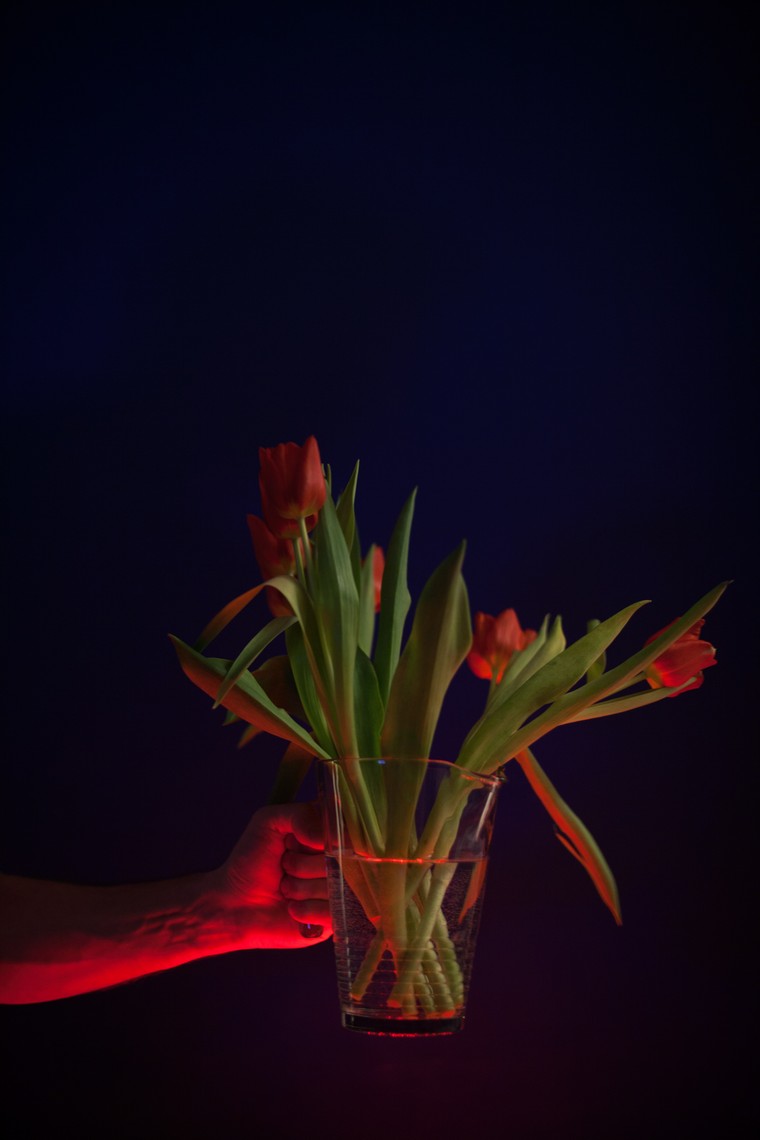 déco printemps fleurs tulipes photo artut aleksanian