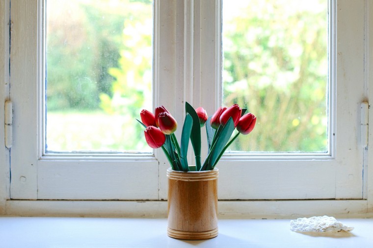 photo colin tulipes vase déco printemps