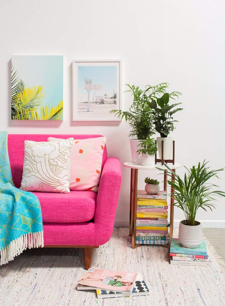 plantes vertes d'intérieur tableau mur fauteuil rose coussins plante pot