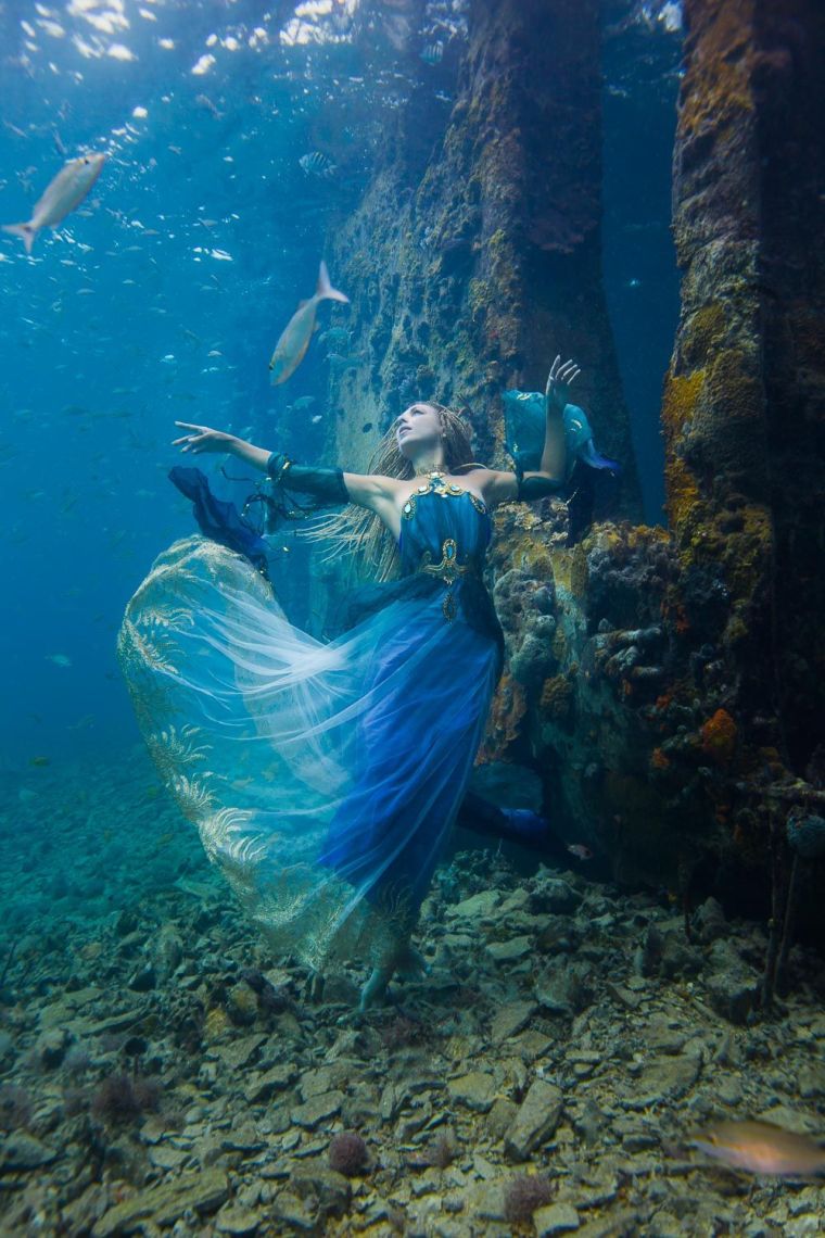 photo sous marine brett stanley galerie