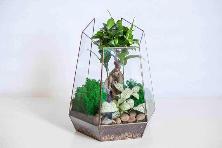 mini plante terrarium diy idée