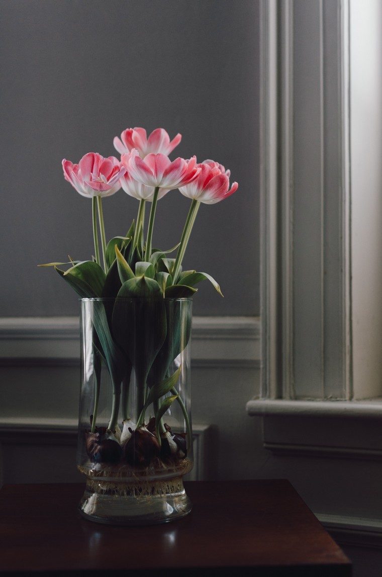 pot tulipe intérieur déco printemps