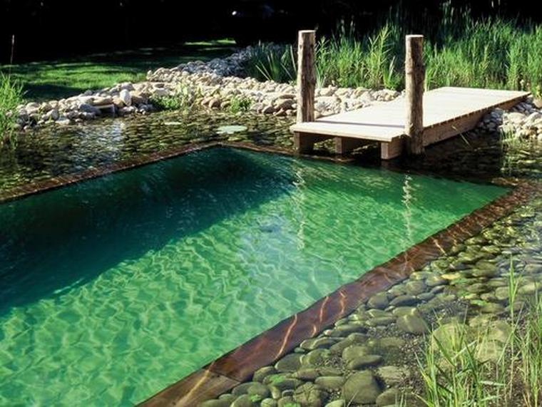 aménagement spa extérieur piscine naturelle