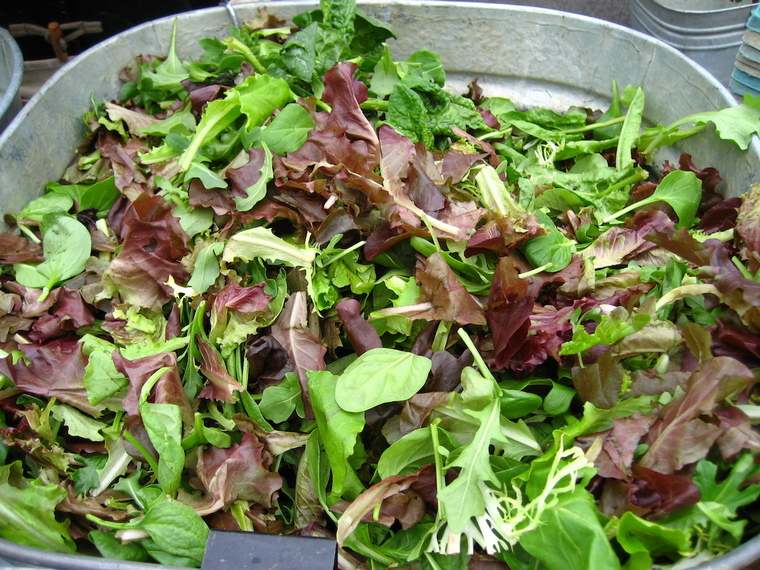 bienfaits salade verte mesclun