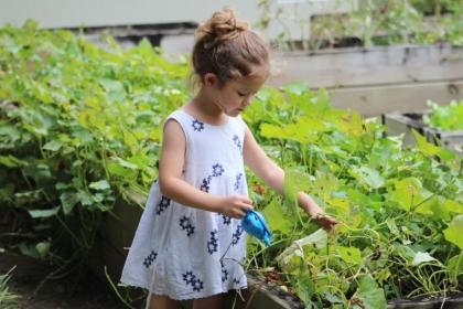 broyeur de branches compost jardin écologique