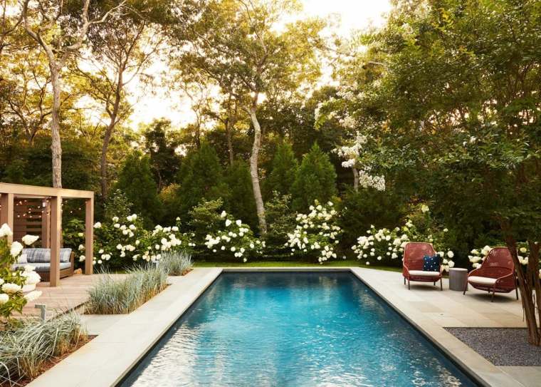 piscine extérieur jardin idée aménagement design moderne