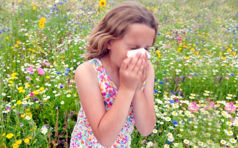allergie aux pollens-allergènes aéroportés 