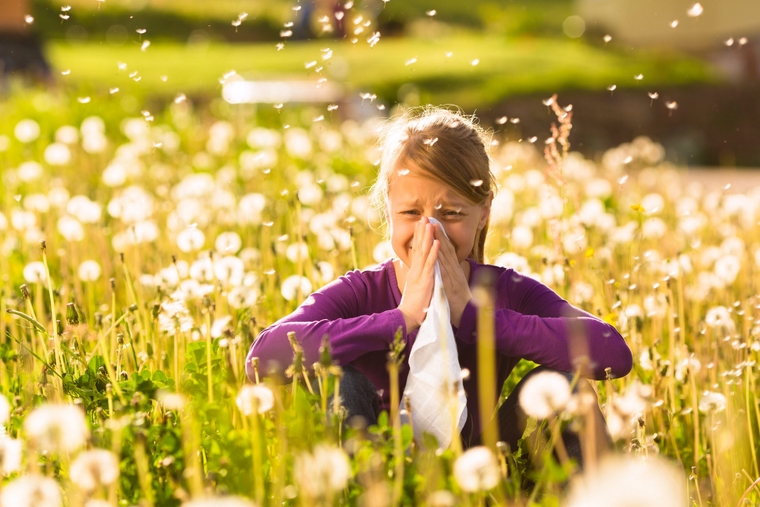 la réaction allergique au pollen-allergènes aéroportés