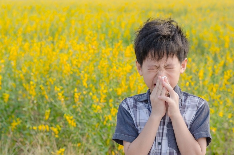 réaction allergique aux pollens-éternuements