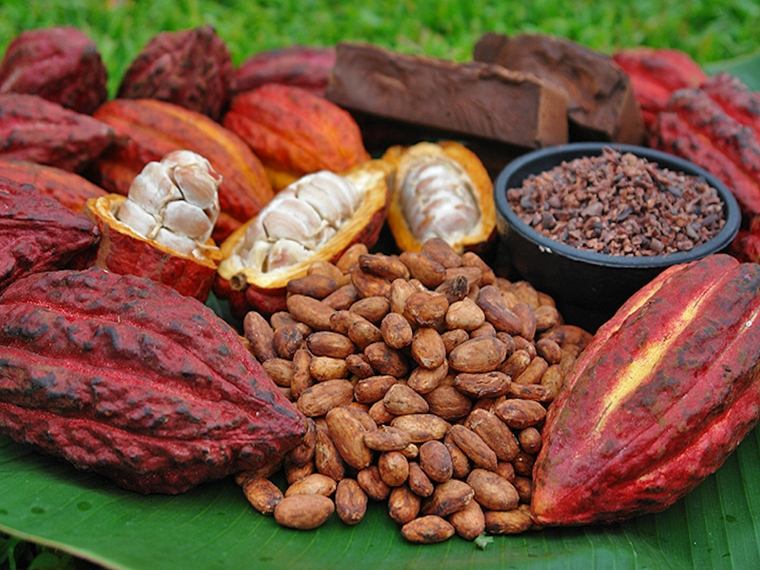 bonne graisse - cacao pour la santé
