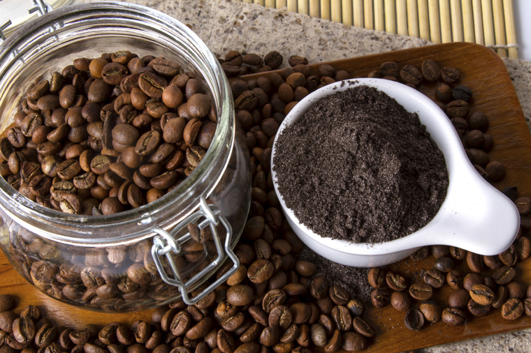 Marc de café plantes grains utilisation