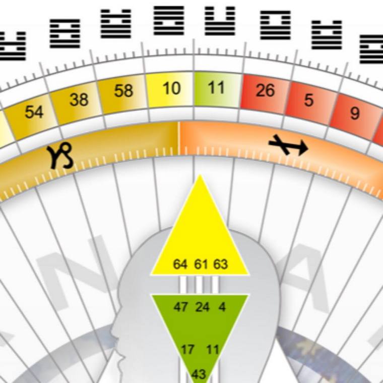 design human noeud conditionnement